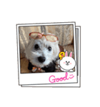 cocoちゃんご挨拶（個別スタンプ：4）