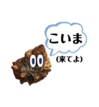 海士町同士の日常会話に使える？スタンプ☆（個別スタンプ：16）