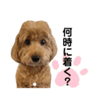 門くんのリアクション（個別スタンプ：1）