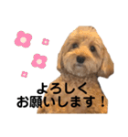 門くんのリアクション（個別スタンプ：8）