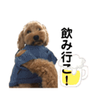 門くんのリアクション（個別スタンプ：11）