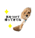 門くんのリアクション（個別スタンプ：19）