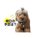 門くんのリアクション（個別スタンプ：30）