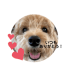 門くんのリアクション（個別スタンプ：32）