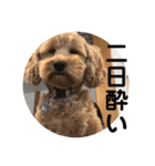 門くんのリアクション（個別スタンプ：37）