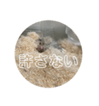 同居人のネズミ 第二弾（個別スタンプ：5）