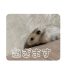 同居人のネズミ 第二弾（個別スタンプ：7）