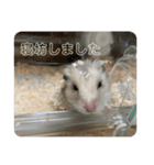 同居人のネズミ 第二弾（個別スタンプ：9）