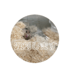 同居人のネズミ 第二弾（個別スタンプ：10）
