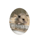 同居人のネズミ 第二弾（個別スタンプ：11）