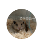 同居人のネズミ 第二弾（個別スタンプ：12）