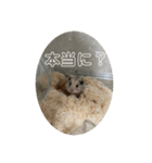 同居人のネズミ 第二弾（個別スタンプ：16）
