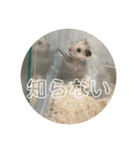同居人のネズミ 第二弾（個別スタンプ：20）