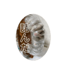 同居人のネズミ 第二弾（個別スタンプ：21）