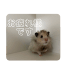 同居人のネズミ 第二弾（個別スタンプ：23）