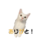 ゆき＆あめ（個別スタンプ：1）