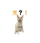 ゆき＆あめ（個別スタンプ：2）
