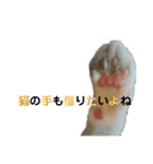 ゆき＆あめ（個別スタンプ：13）
