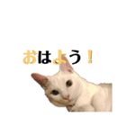 ゆき＆あめ（個別スタンプ：17）
