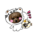 みくちゃんが使うポメプーシフォンちゃん（個別スタンプ：2）