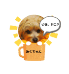 みくちゃんが使うポメプーシフォンちゃん（個別スタンプ：4）