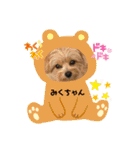みくちゃんが使うポメプーシフォンちゃん（個別スタンプ：5）