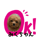 みくちゃんが使うポメプーシフォンちゃん（個別スタンプ：14）