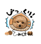 みくちゃんが使うポメプーシフォンちゃん（個別スタンプ：18）