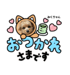 みくちゃんが使うポメプーシフォンちゃん（個別スタンプ：20）