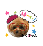 みくちゃんが使うポメプーシフォンちゃん（個別スタンプ：31）