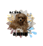 みくちゃんが使うポメプーシフォンちゃん（個別スタンプ：33）