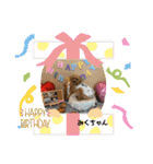 みくちゃんが使うポメプーシフォンちゃん（個別スタンプ：36）