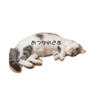 かゆちのFPSすたんぷ5（個別スタンプ：4）