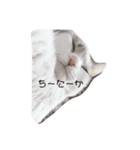 かゆちのFPSすたんぷ5（個別スタンプ：8）
