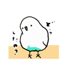 モジモジするインコのスタンプ（個別スタンプ：10）