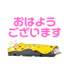 ねこ★ねこ★ねこ⑤（個別スタンプ：1）