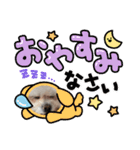 ルナ！ブラン！（個別スタンプ：1）