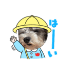 ルナ！ブラン！（個別スタンプ：7）