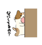 ねこ。のスタンプ（個別スタンプ：22）