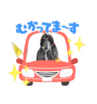 可愛らしいアフガンハウンドです（個別スタンプ：7）