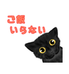 黒猫のやまとくん基本の冬のご挨拶（個別スタンプ：6）