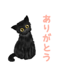 黒猫のやまとくん基本の冬のご挨拶（個別スタンプ：7）