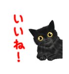 黒猫のやまとくん基本の冬のご挨拶（個別スタンプ：11）