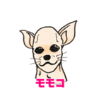 モモコ…モモコだよね。（個別スタンプ：1）