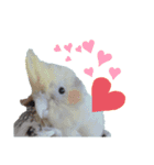 オカメインコのポルカちゃん（個別スタンプ：14）