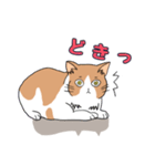 ご近所のノラ猫さん。日常編（個別スタンプ：4）