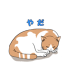 ご近所のノラ猫さん。日常編（個別スタンプ：8）