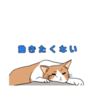 ご近所のノラ猫さん。日常編（個別スタンプ：14）