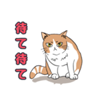 ご近所のノラ猫さん。日常編（個別スタンプ：26）