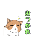 ご近所のノラ猫さん。日常編（個別スタンプ：32）